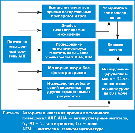 опасные препараты похудения опасные препараты похудения
