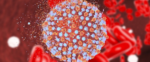 Исследование: УДХК сдерживает повреждение печени, вызванное терапией гепатита