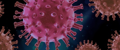 УДХК не позволяет коронавирусу проникнуть в клетки человека